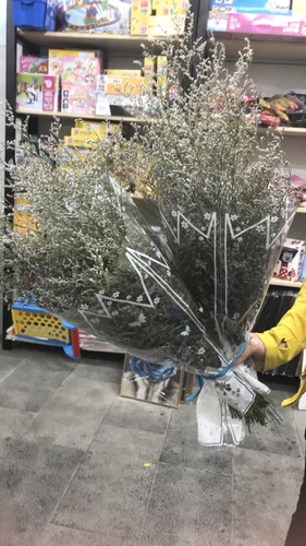 Bó hoa khô sao tím phụ kiện cắm hoa trang trí