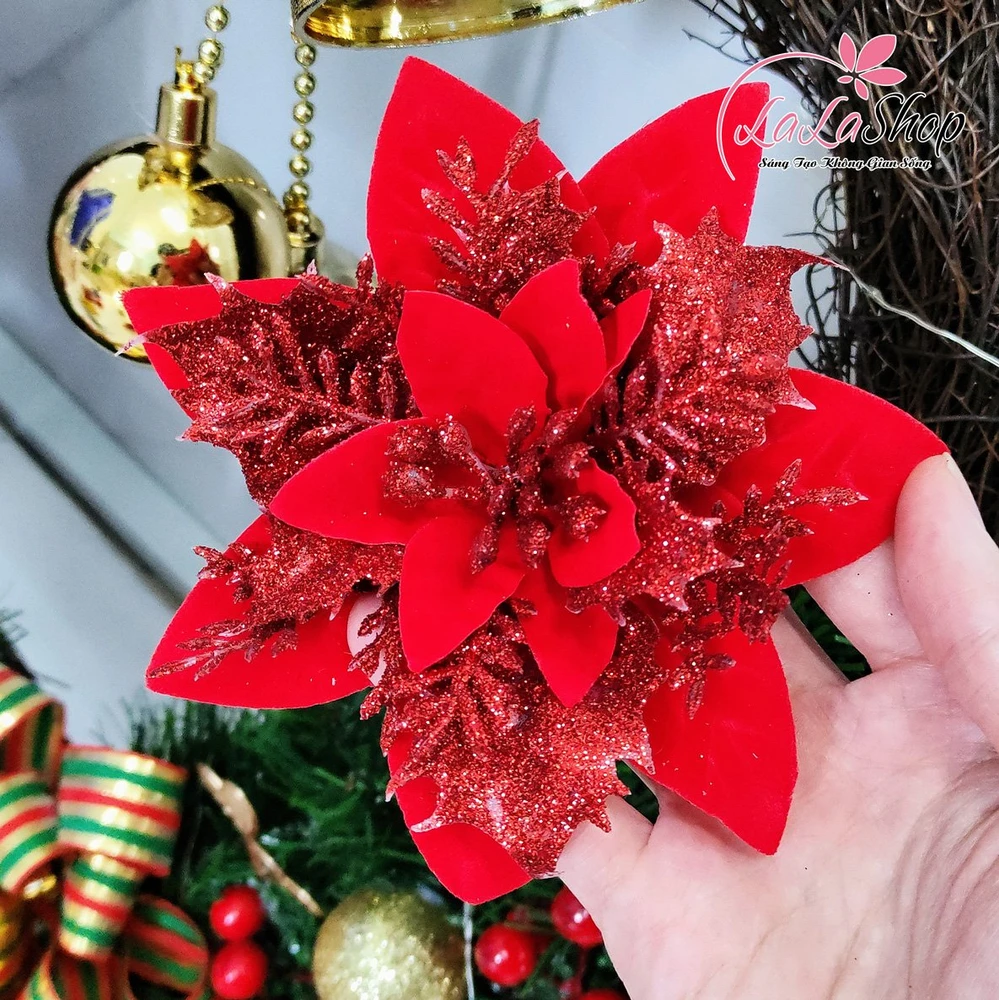 Hoa trạng nguyên size trung trang trí Noel