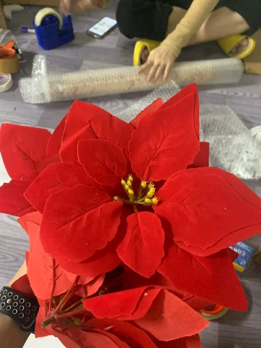 Đồ trang trí noel hoa trạng nguyên nhung mẫu 2