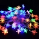Dây Đèn Led 5m Trang Trí Hình Ngôi Sao Nhiều Màu