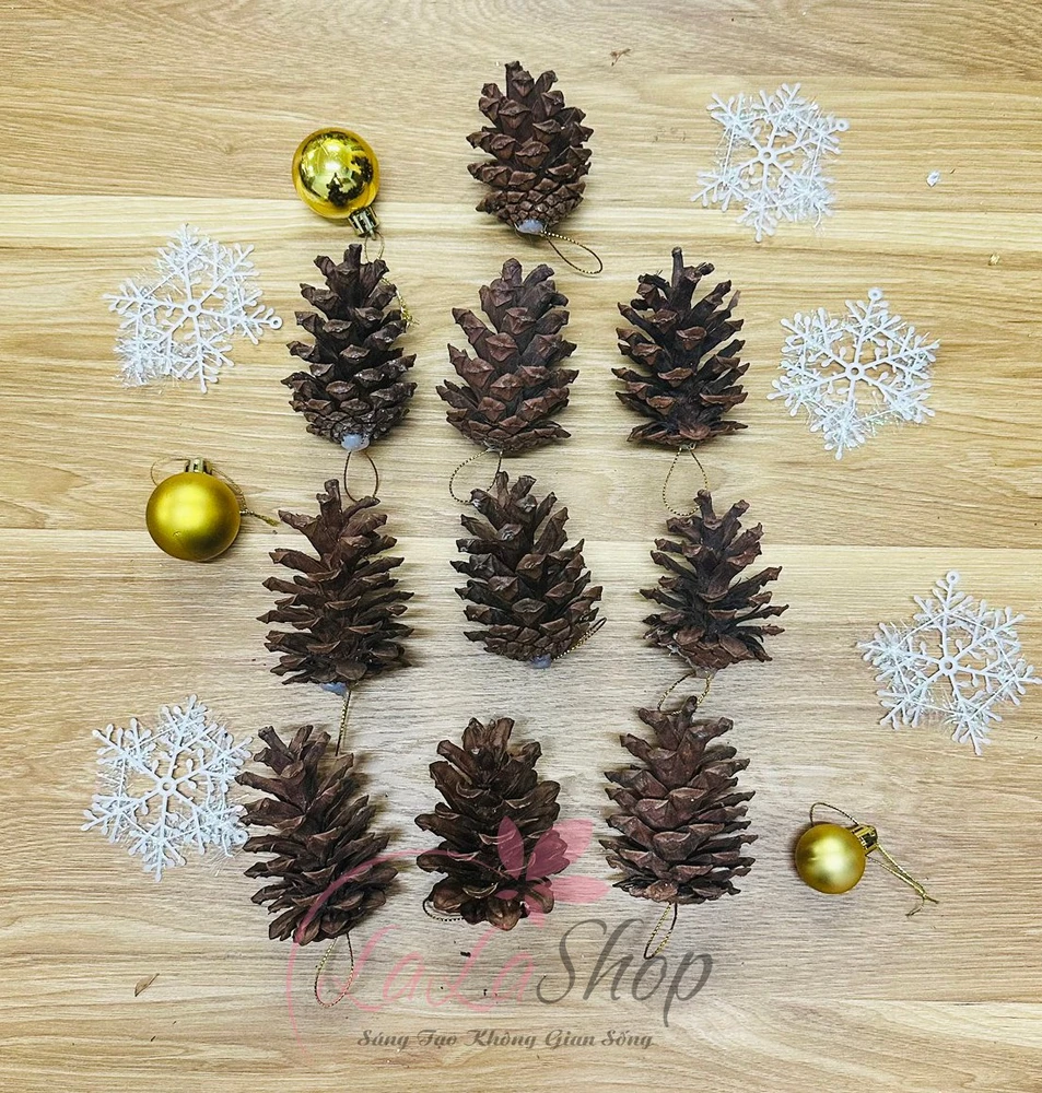 Combo 10 quả thông trang trí noel loại 1