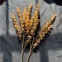 Cành lá táo vàng trang trí