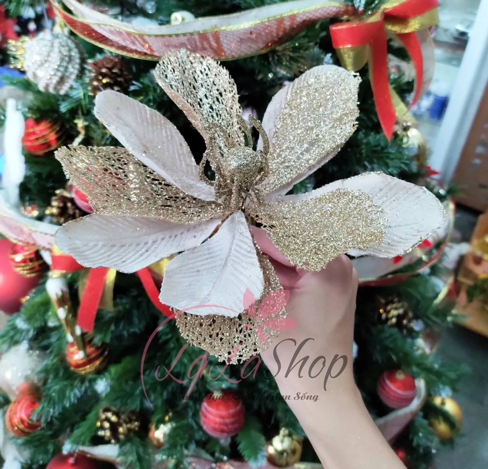 Hoa Trạng Nguyên Size Lớn Trang Trí Noel