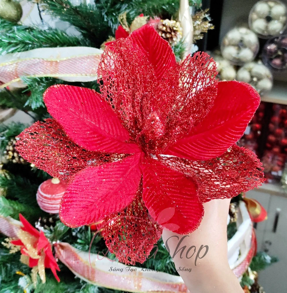 Hoa Trạng Nguyên Size Lớn Trang Trí Noel