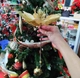 Cành Hoa Trạng Nguyên Size Lớn Trang Trí Noel