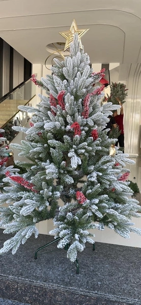 Cây thông PE phủ tuyết gắn trái đỏ - cây tự động