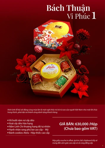 Hộp quà tết bách thuận vi phúc 1 (AS)