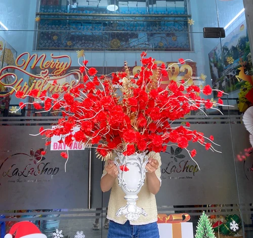 Chậu hoa đào râu đỏ trang trí