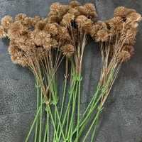 Cành bồ công anh mạ đồng trang trí