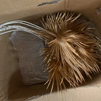 Cành lá cọ phủ vàng trang trí mẫu 2