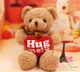 Gấu Teddy ôm trái tim đỏ Hug Me