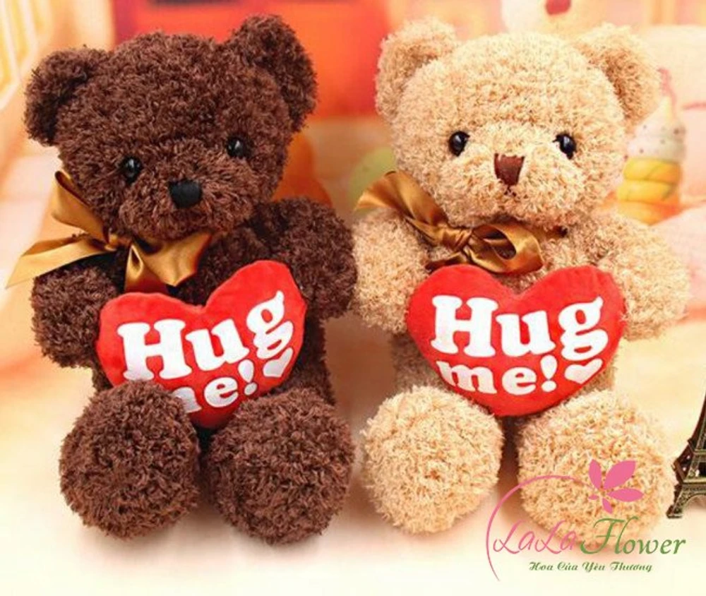 Gấu Teddy ôm trái tim đỏ Hug Me