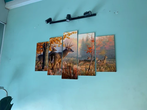 Tranh treo tường siêu xe McLaren 720s trắng