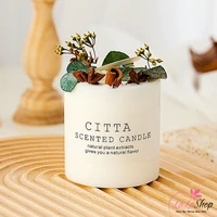 Nến thơm trang trí phòng, nến trụ cao cấp CITTA