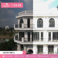 Phim Cách Nhiệt CX05