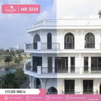 Phim Cách Nhiệt NR SI35