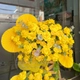 Lẵng hoa sáp mừng khai trương cao 1m5 sắc vàng mẫu 819