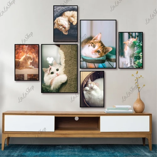 Set 6 Tranh Dán Tường Con Mèo Dể Thương Có Keo Sẵn