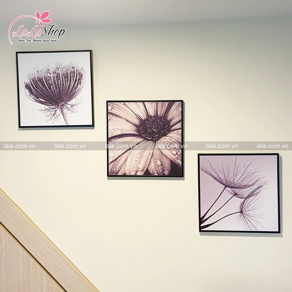 Tranh treo tường bồ công anh đơn sắc
