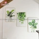 Tranh treo tường lá xanh nhiệt