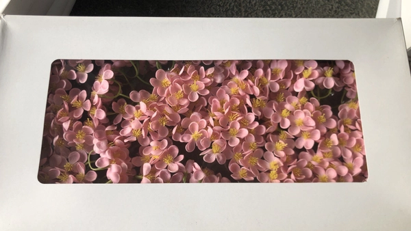 Hộp đầu hoa tú cầu sáp thơm