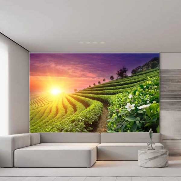 Tranh Dán Tường Đồi Chè