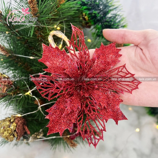 Hoa Trạng Nguyên phủ kim tuyến 2 trang trí noel