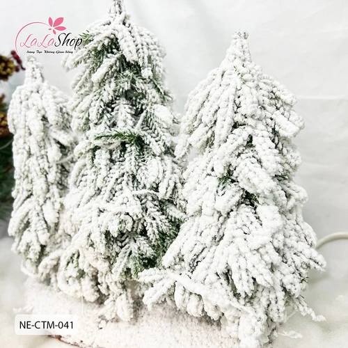 3 cây thông phũ tuyết có đế - Tán lá dày