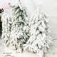 3 cây thông phủ tuyết có đế - Tán lá dày