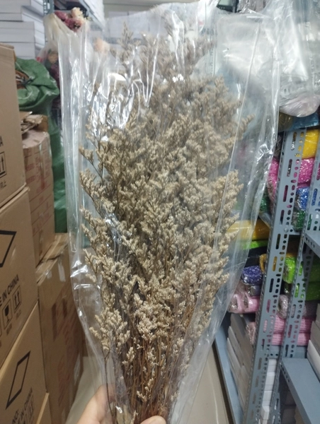 Bó hoa sao khô phụ kiện cắm hoa trang trí