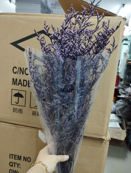 Bó hoa sao khô phụ kiện cắm hoa trang trí