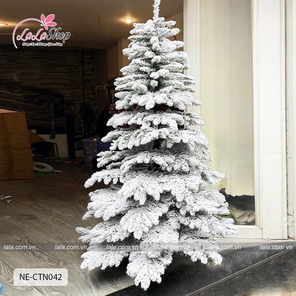 Cây Thông Levo Phủ Tuyết Cành Treo