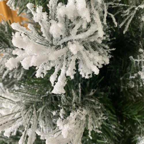 Cây thông phủ tuyết A4