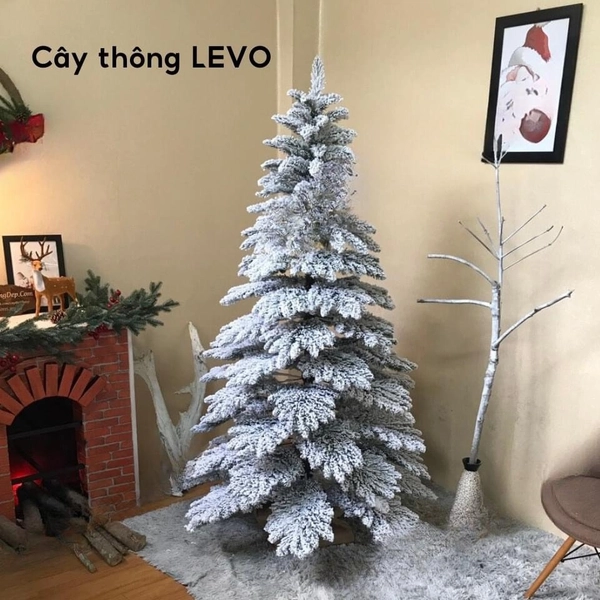 Cây thông đầu nhọn phủ tuyết - Cây treo