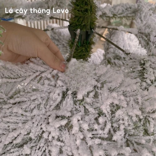 Cây Thông Levo Phủ Tuyết Cành Treo