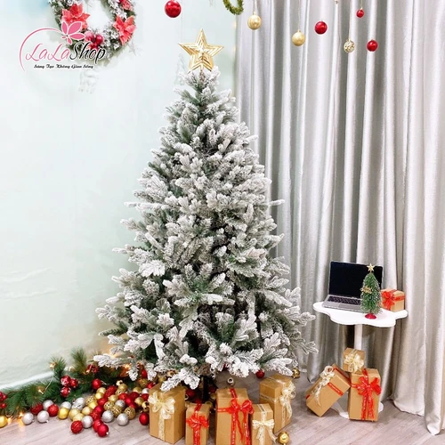 Cây thông PE phủ tuyết