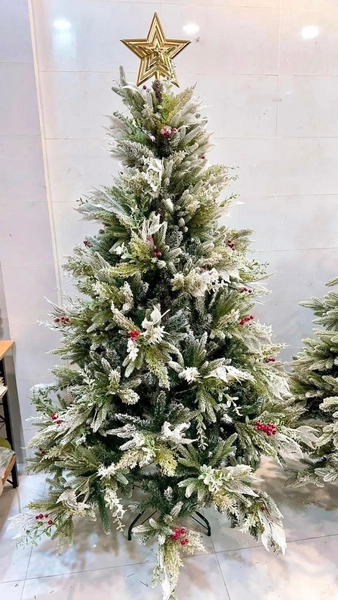 Cây Thông Đầu Nhọn 5 Loại Lá Phủ Tuyết Gắn Trái Đỏ - Cây Tự Động