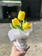 Chậu 3 bông tulip mini để bàn làm quà tặng đáng yêu 851