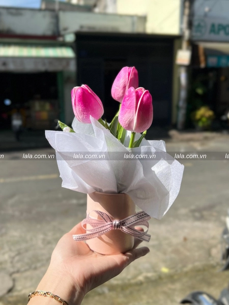 Chậu 3 bông tulip mini để bàn làm quà tặng đáng yêu 851