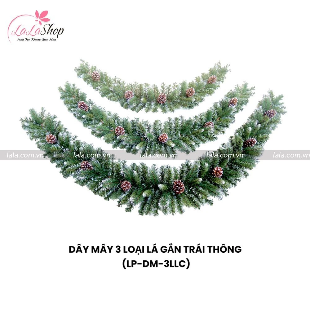 Dây Mây 3 Loại Lá Có Gắn Trái Thông