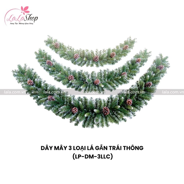 Dây Mây 3 Loại Lá Có Gắn Trái Thông