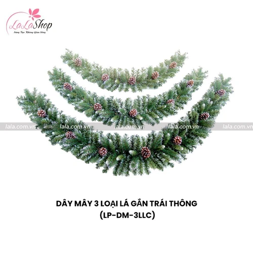 Dây Mây 3 Loại Lá Có Gắn Trái Thông