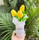 Chậu 3 bông tulip mini để bàn làm quà tặng đáng yêu 851