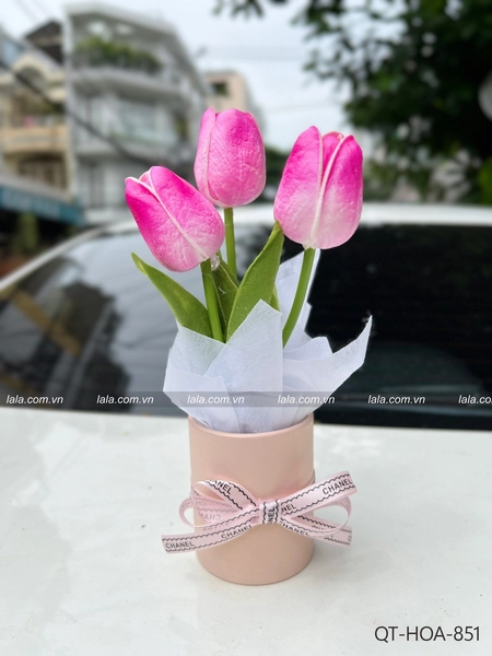Chậu 3 bông tulip mini để bàn làm quà tặng đáng yêu 851