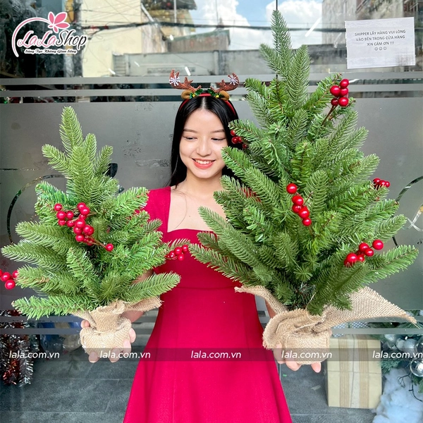 Cây Thông Noel Mini PE Gắn Trái Đỏ