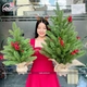 Cây Thông Noel Mini PE Gắn Trái Đỏ