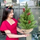 Cây Thông Noel Mini PE Gắn Trái Đỏ