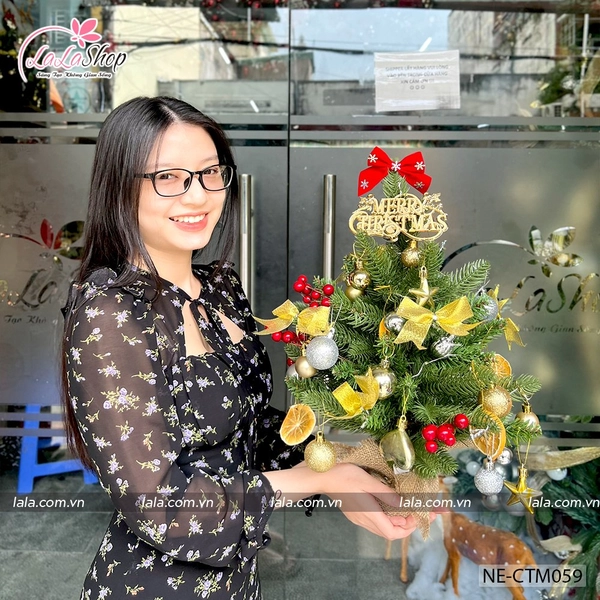Cây Thông Noel Mini Lá PE Gắn Trái Đỏ 45cm màu vàng full phụ kiện kèm đèn led
