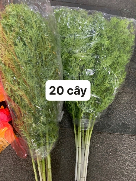 Hoa cỏ thông nhựa trang trí phong cách địa trung hải 60cm