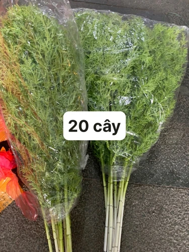 Hoa cỏ thông nhựa trang trí phong cách địa trung hải 60cm